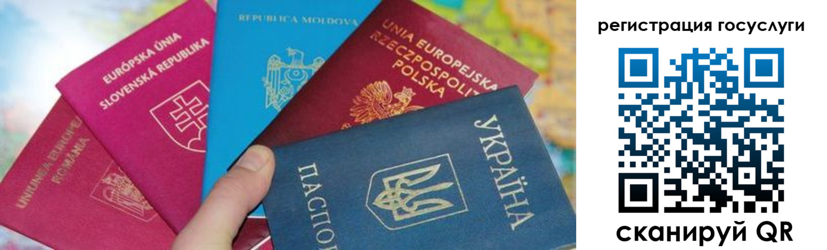 прописка гарантия в Котельниково